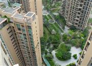 西岸观邸-环境绿化