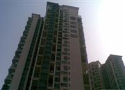 西岸观邸-远景图