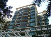 冠城世家-环境绿化