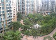 冠城世家-环境绿化