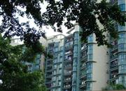 冠城世家-环境绿化