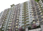 旭仕达名苑-环境绿化