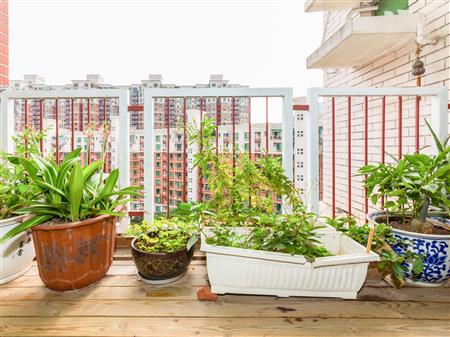 梅林一村-阳台