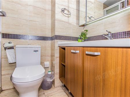 万科麓城一期（金域中央花园一期）-卫生间