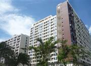 万象新天（三期）-环境绿化