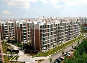 万象新天（三期）-环境绿化