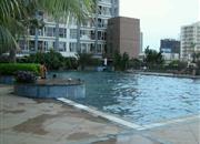 白金假日公寓-环境绿化