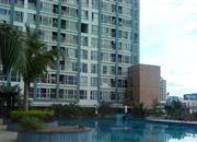 白金假日公寓-环境绿化