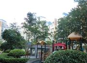 碧海名园-环境绿化