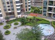 碧海名园-环境绿化