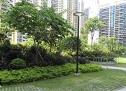 松茂御龙湾雅苑（一期）-环境绿化