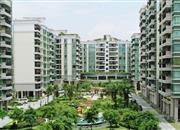 金景豪苑-环境绿化