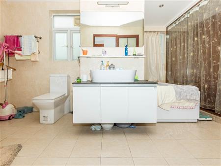 黄埔雅苑（四期骏悠园）-卫生间