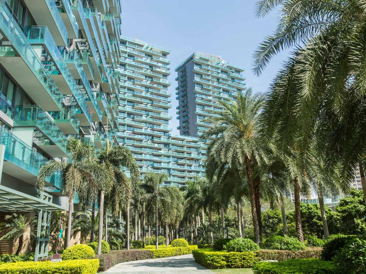 红树西岸全齐精装修两房 安静 花园中间 红树湾站