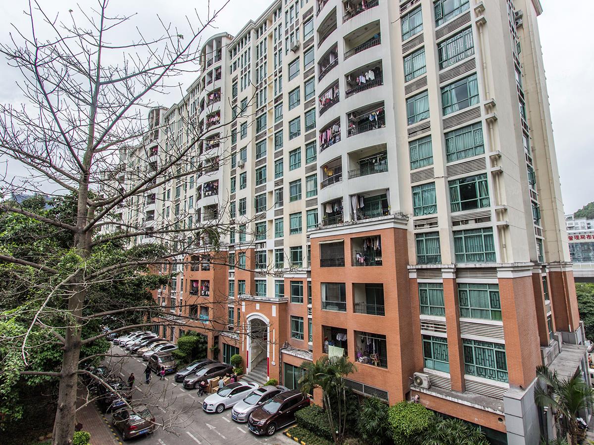 全东南看花园三房,拎包入住,采光好,户型方正实用,桂芳园.