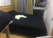 金海岸大厦-主卧