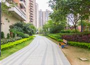 中骏蓝湾翠岭花园（一期）-环境绿化