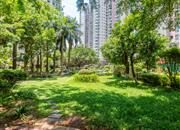 翠海花园（一期）-环境绿化