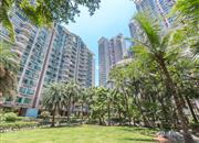 翠海花园（一期）-环境绿化