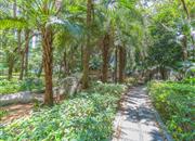 翠海花园（一期）-环境绿化