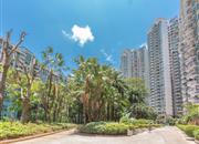 翠海花园（一期）-环境绿化