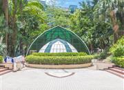 翠海花园（一期）-环境绿化