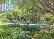 翠海花园（一期）-环境绿化