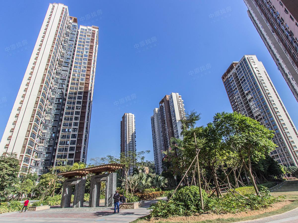 上年装修 三房 价格找我有优惠 采光好,深圳龙岗横岗振业峦山谷花园