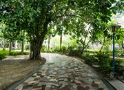 九州家园-环境绿化