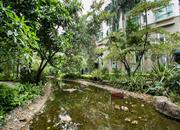 九州家园-环境绿化