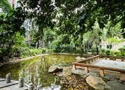 九州家园-环境绿化