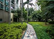 九州家园-环境绿化