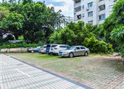 盈富家园-环境绿化