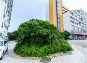 盈富家园-环境绿化