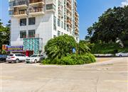 盈富家园-环境绿化