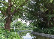 三湘海尚花园一期-环境绿化