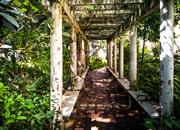 榭丽花园-环境绿化