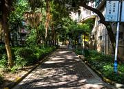 榭丽花园-环境绿化