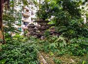 榭丽花园-环境绿化