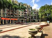 榭丽花园-环境绿化