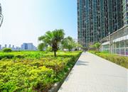 鸿隆广场-环境绿化