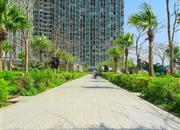 鸿隆广场-环境绿化