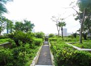 鸿隆广场-环境绿化