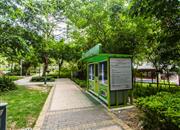 中海康城花园-环境绿化