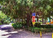 依山郡花园（一期）-环境绿化