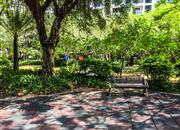 依山郡花园（一期）-环境绿化