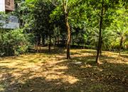 依山郡花园（一期）-环境绿化