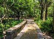 依山郡花园（一期）-环境绿化