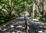 依山郡花园（一期）-环境绿化