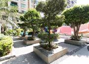 聚福花园（二期）-环境绿化